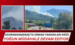 Kahramanmaraş'ta Fırnız ve Kapıçam'da Yangın Alarmı: Yoğun Müdahale Devam Ediyor!