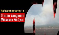 Kahramanmaraş Pazarcık'ta Orman Yangını: İtfaiye Ekipleri Görev Başında!