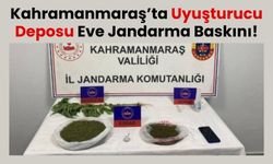 Kahramanmaraş'ta Jandarma Operasyonu: 2 Kilogram Esrar ve Kenevir Ele Geçirildi!