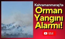 Kahramanmaraş'ta Orman Yangını: Ekipler Alevlerle Savaşıyor!