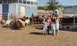 Kahramanmaraş'ta Modern Hayvan Çiftliği Kuruldu: Besicilikte Yeni Bir Dönem Başlıyor