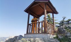 Kahramanmaraş'ın Ormanlarını Koruma Stratejisi: Gözetleme Kuleleri ve Yapay Zeka