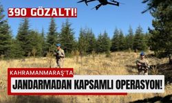 Kahramanmaraş Jandarmasından Operasyon: 390 Aranan Şahıs Yakalandı!