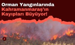 Kahramanmaraş’ta Orman Yangınları Tedirgin Ediyor: 138 Yangınla Beşinci Sırada