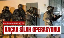 Kahramanmaraş Dahil 78 İlde Silah Kaçakçılarına Eş Zamanlı Operasyon!