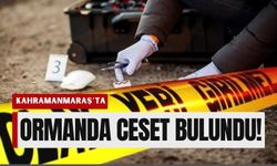 Kahramanmaraş’ta Ormanda Kaybolan Yaşlı Adamın Acı Sonu!