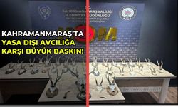 Kahramanmaraş’ta Kaçak Avcılığa Büyük Darbe: Karaca ve Geyik Trofeleri Ele Geçirildi!