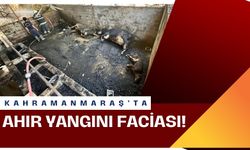 Kahramanmaraş’ta Yangın Faciası: Ahırdaki Büyükbaş Hayvanlar Telef Oldu!