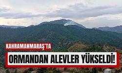 Kahramanmaraş’ta Orman Yangını Paniği: İtfaiye Ekipleri Alarmda