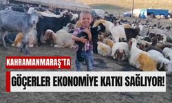 Kahramanmaraş Yaylaları, 400 Bin Küçükbaş Hayvanla Ekonomiye Süt ve Peynir Kazandırıyor