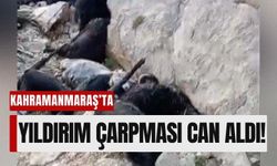 Yıldırım Düşmesi Kahramanmaraş’ta Bir Can Aldı, 3 Keçi Telef Oldu!