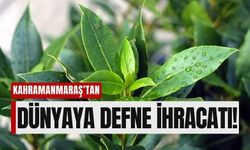 Kahramanmaraş'ın Defnesi Dünya Sofralarında!