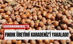 Kalekaya, Kahramanmaraş'ın Fındık Başkenti Olma Yolunda