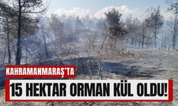 Kahramanmaraş'ta Çıkan Yangın 15 Hektar Ormanı Yok Etti!