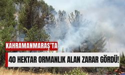 Kahramanmaraş'ta Orman Yangını 3 Gün Sürdü: 40 Hektar Kül Oldu!