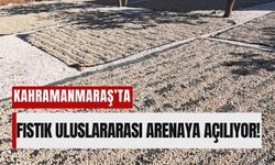 Kahramanmaraş Pazarcık Fıstığını Tescillemeye Hazırlanıyor!