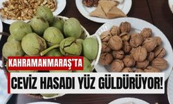 Kahramanmaraş’ta Ceviz Hasadı Yüz Güldürüyor!