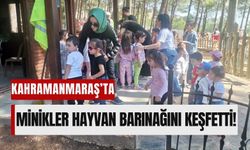 Kahramanmaraş'ta İlkokul Öğrencilerinden Hayvanlara Sevgi Eli!