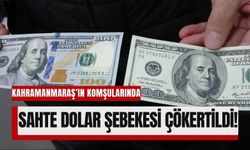 Adana’da 15 Kalpazan Gözaltına Alındı: 79 Bin Dolar Ele Geçirildi!