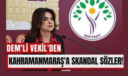 DEM'li Vekil'den Skandal Sözler: Kahramanmaraş'a 'Kan Revan' Dedi!