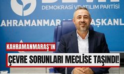 Kahramanmaraş'ın Çevre ve Sağlık Sorunlarına Çözüm Çağrısı!