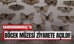 Kahramanmaraş'ta Böcek Müzesi Açıldı