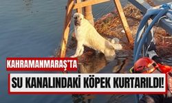 Kahramanmaraş'ta Su Kanalındaki Köpeği İtfaiye Kurtardı!