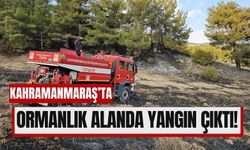 Kahramanmaraş'ta Ormandan Dumanlar Yükseldi, İtfaiye Yetişti!