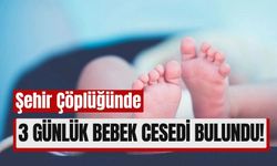 Üç Günlük Bebek Cesedi Çöpler Arasında Bulundu!