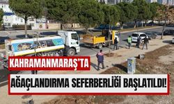 Kahramanmaraş'ta Ağaçlandırma Seferberliği: 5 Bin Yeni Ağaç Dikiliyor