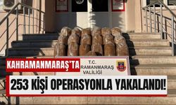 Kahramanmaraş'ta Jandarma Operasyonları: 253 Gözaltı!