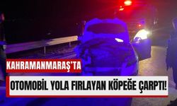 Kahramanmaraş'ta Trafik Kazasında Köpek Telef Oldu, Otomobil Hasar Gördü!