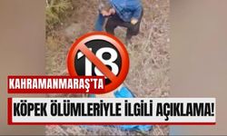 Kahramanmaraş'ta Köpek Ölümleri İçin Belediye Harekete Geçti!