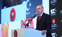 Kahramanmaraş Depremlerinin 2. Yılı: Cumhurbaşkanı Erdoğan'dan Dayanışma Mesajı