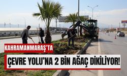 Kahramanmaraş'ta Batı Çevre Yolu’nda 2 Bin Ağaç Toprakla Buluşuyor!