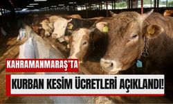 Kahramanmaraş'ta Kurban Bayramı Öncesi Kesim Ücretleri Açıklandı!