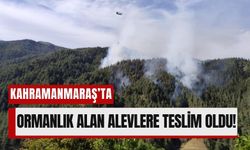Alevler Ormanı Sardı: Kahramanmaraş’ta Yangınla Mücadele Sürüyor!