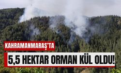 Kahramanmaraş’ta Orman Yangını: 5,5 Hektar Alan Zarar Gördü!