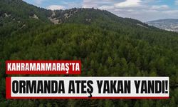 Kahramanmaraş’ta Ormanlara Giriş 1 Haziran’dan İtibaren Yasaklandı!