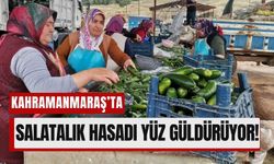 Kahramanmaraş’ta Salatalık Üretimi Zirvede: 35 Bin Ton Rekolte!
