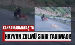 Kahramanmaraş’ta Köpeğe Vahşet: Motosikletle Sürükleyerek Öldürdüler!