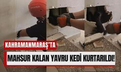 Kahramanmaraş'ta Yaramaz Kedi Havalandırma Boşluğunda Mahsur Kaldı