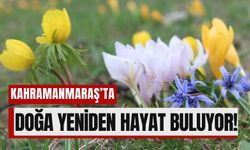 Kahramanmaraş İlkbaharda Rengarenk Çiçeklerle Şenlendi