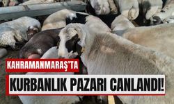 Kahramanmaraş’ta Kurbanlık Pazarlıkları Başladı!