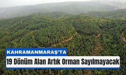 Kahramanmaraş’ta 19 Dönümlük Alan Orman Sınırı Dışına Çıkarıldı