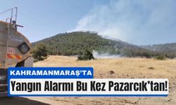Kahramanmaraş'ta Alev Alarmı:Pazarcık'ta Orman Yangını Çıktı