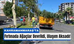 Kahramanmaraş'ta Şiddetli Rüzgar Felaketi: Ağaçlar Devrildi!