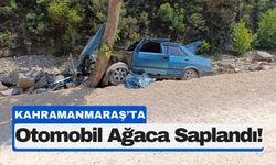 Kahramanmaraş’ta Feci Kaza: Yol Kenarındaki Ağaca Saplandı!