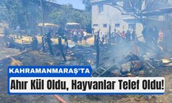 Kahramanmaraş’ta Yangın Kabusu: 30 Hayvan Telef Oldu!