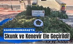 Kahramanmaraş’ta Zehir Tarlasına Baskın!